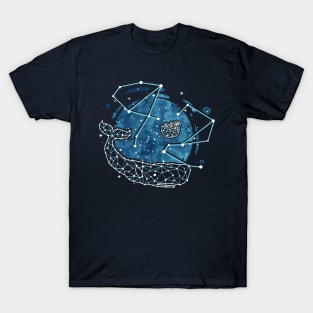 Constellation 42 T-Shirt